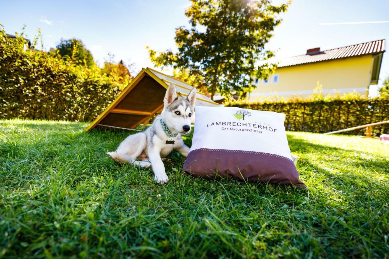 Lambrechterhof - Das Naturparkhotel 상트램브레흐트 외부 사진
